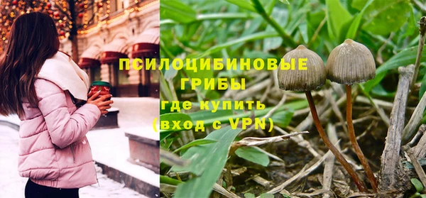 метадон Арсеньев