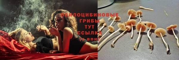 кокаин перу Аркадак